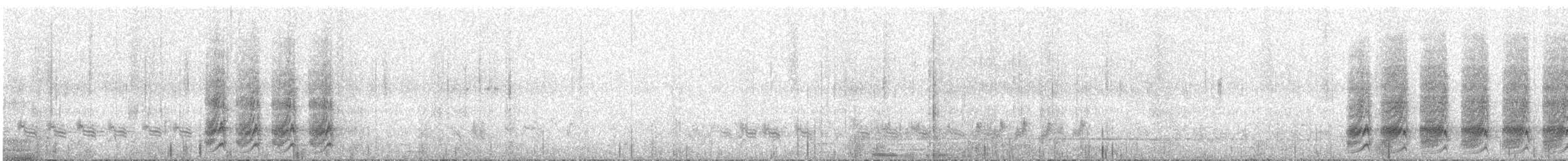 Asir Magpie - ML647680087