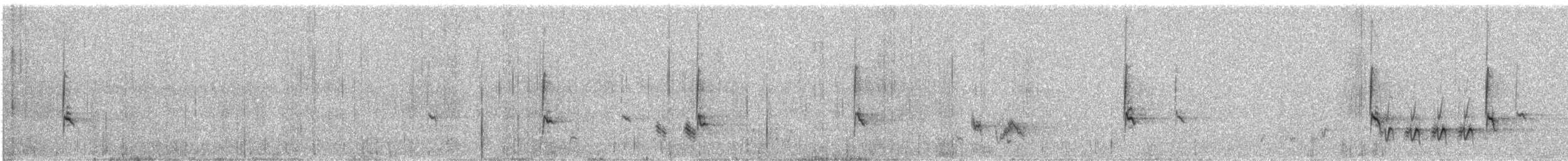 Long-billed Pipit - ML647680105