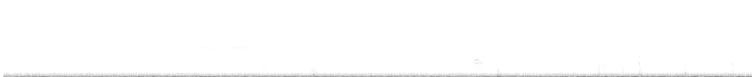 Little Bittern - ML647680137