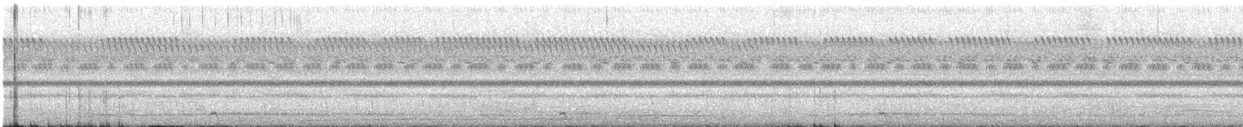 Jerdon's Nightjar - ML647681391