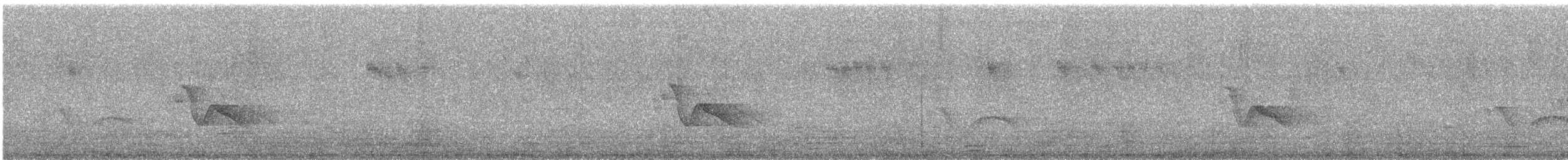 Streaked Laughingthrush - ML647681753