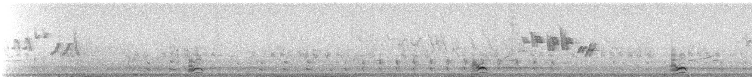 ワタリガラス - ML647682794