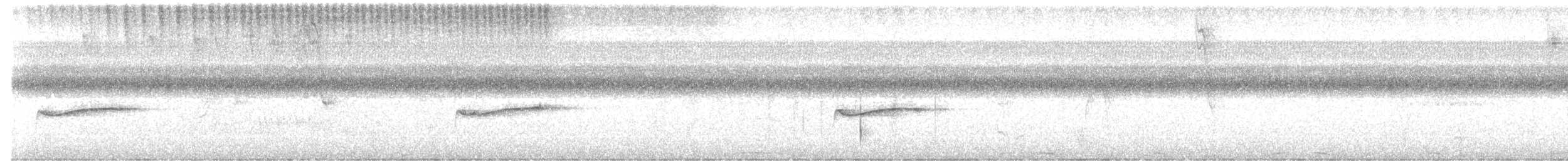 モリタイランチョウ - ML647683234