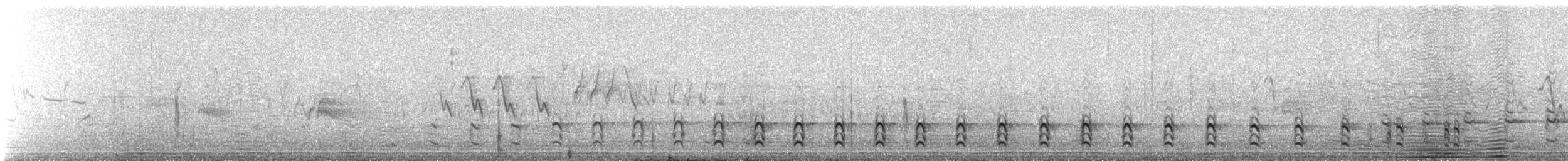 Wilson's Snipe - ML647683261