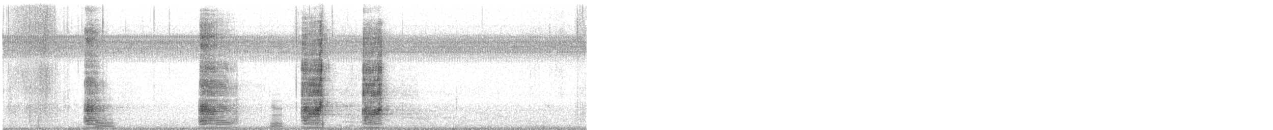 Гуска китайська (свійська) - ML647683571