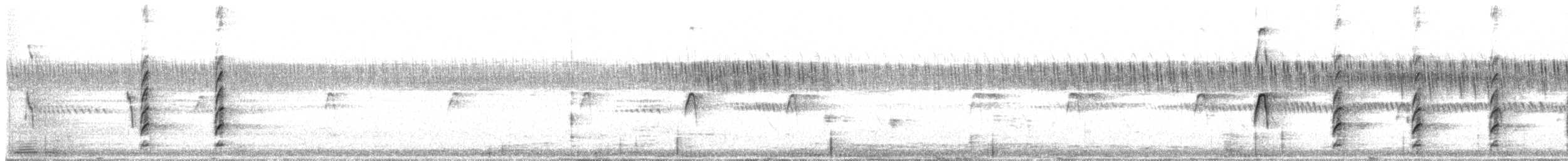 Black-winged Stilt - ML647684992