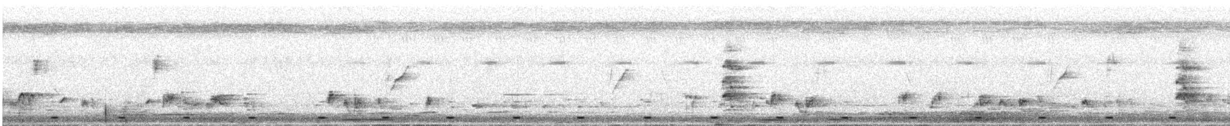 Coppersmith Barbet - ML647685042