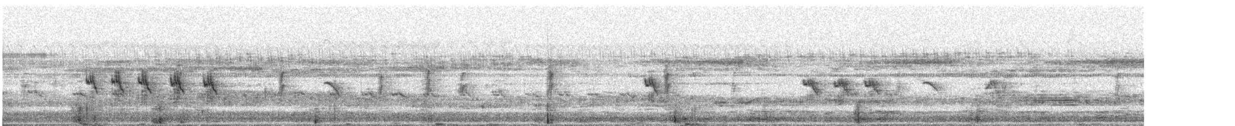 Asian Green Bee-eater - ML647685064