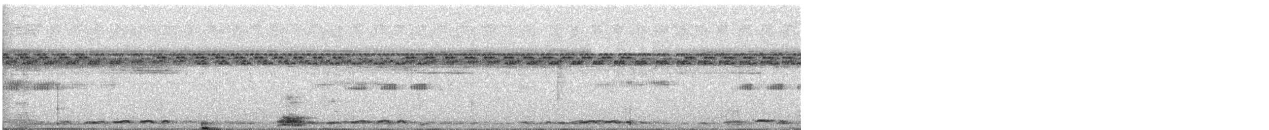 Laughing Dove - ML647685169