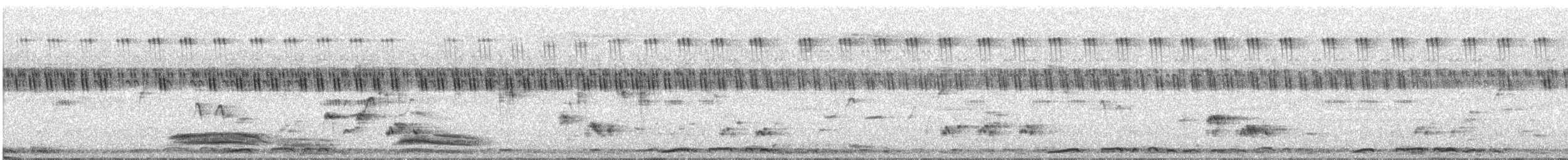 Laughing Dove - ML647685170