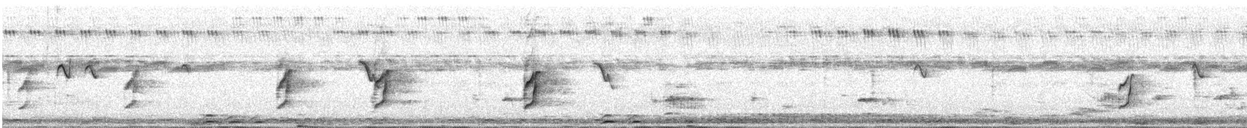 Plum-headed Parakeet - ML647685237