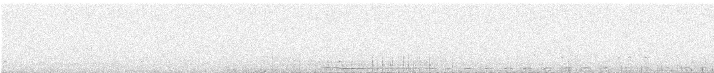 Whooper Swan - ML647685240