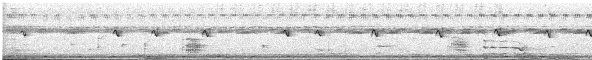 Red Avadavat - ML647685260