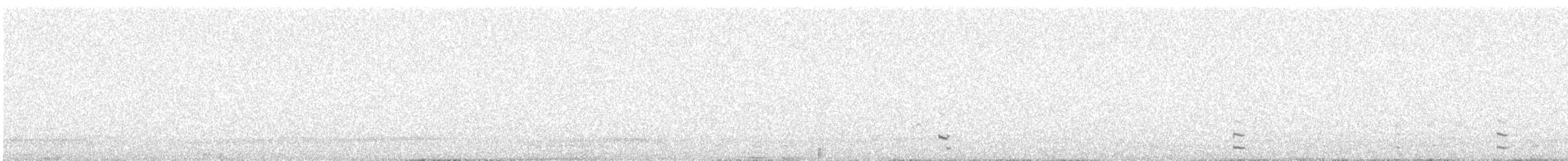 Eurasian Coot - ML647685294