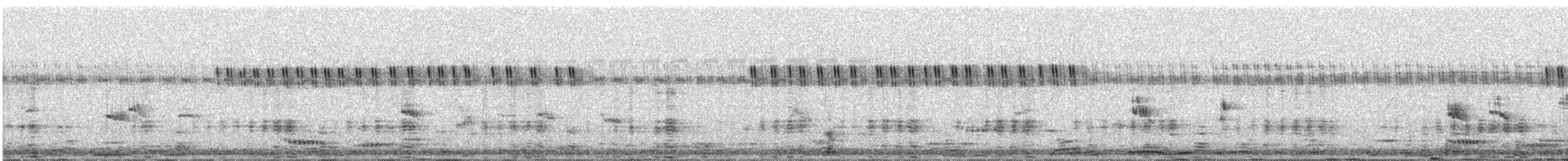 Asian Woolly-necked Stork - ML647685302