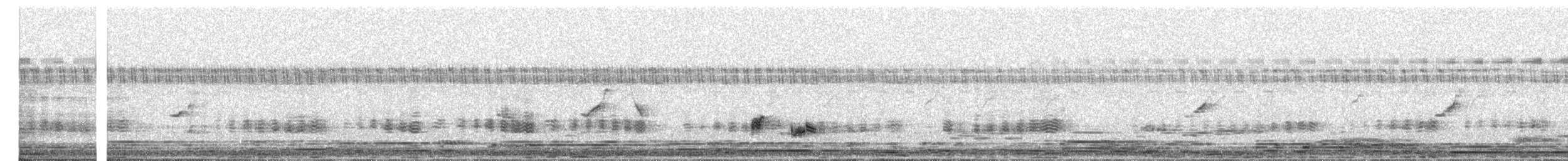 Asian Woolly-necked Stork - ML647685303