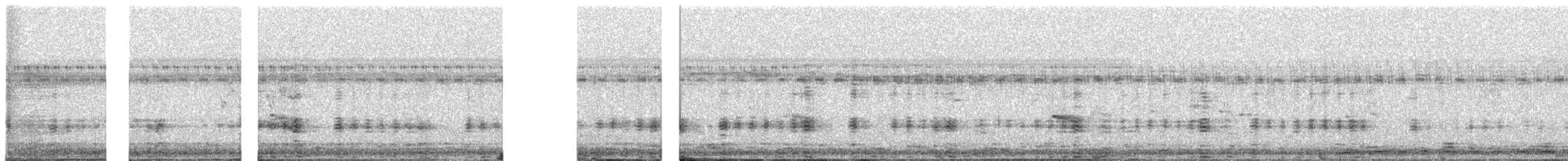 Asian Woolly-necked Stork - ML647685305