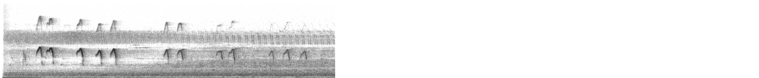 Wood Sandpiper - ML647685312