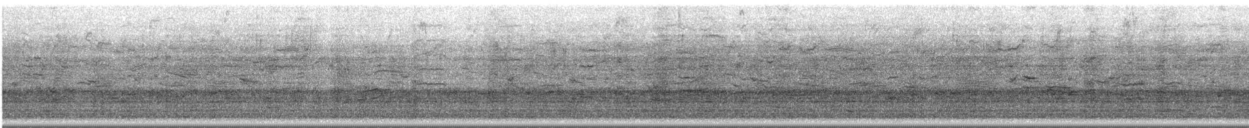 Zanate Común - ML647685430