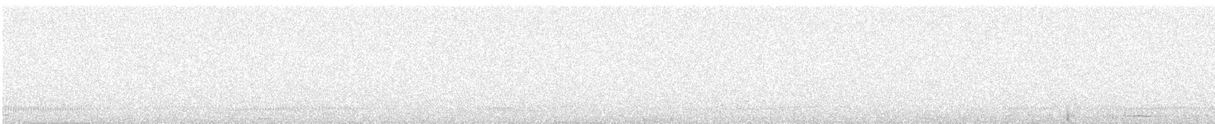 Rascón Asiático - ML647685452