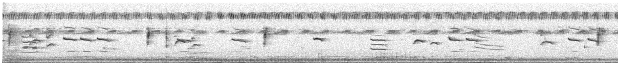 Ave sp. - ML647685541