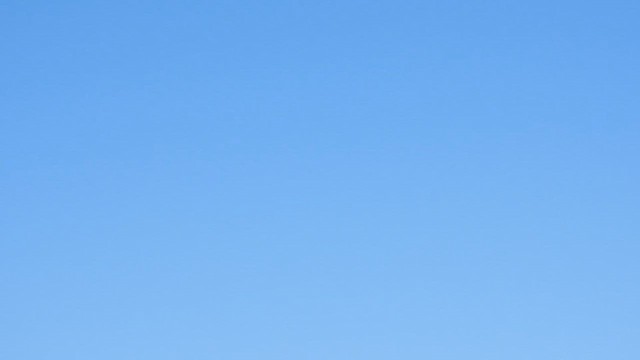 סלעית ערבות - ML647686429