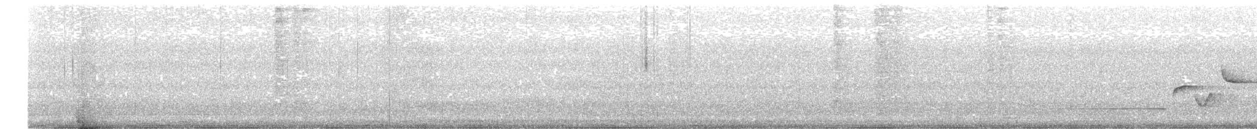 Bergseidensänger - ML647686566