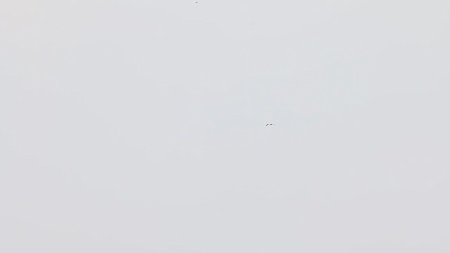 Бразильский стриж - ML647687953