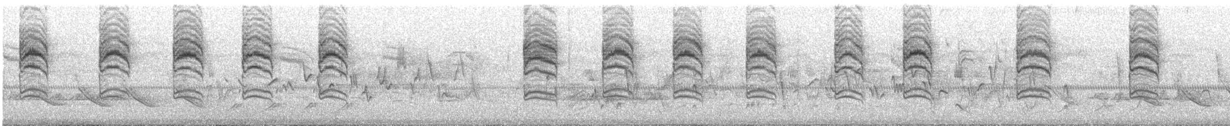 Blue-gray Gnatcatcher - ML647690018