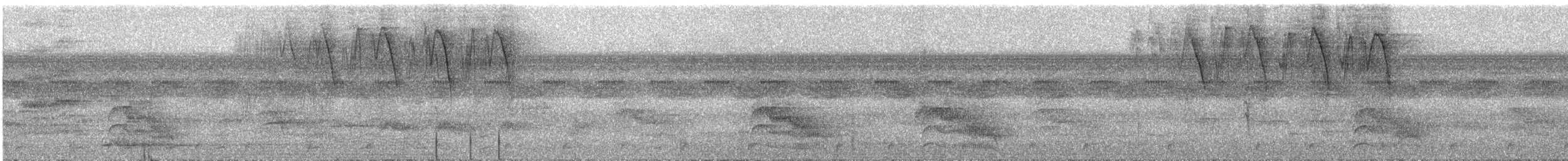 Bananaquit - ML647690262