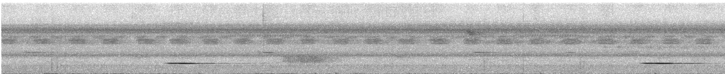 Cinereous Tinamou - ML647690298