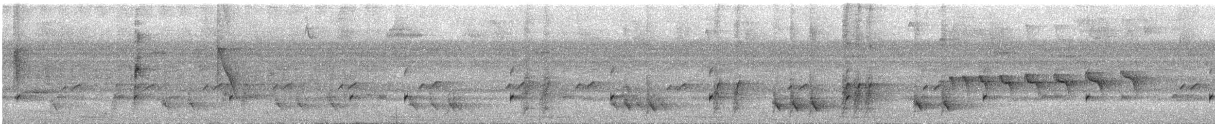 selvaskasik - ML647690463