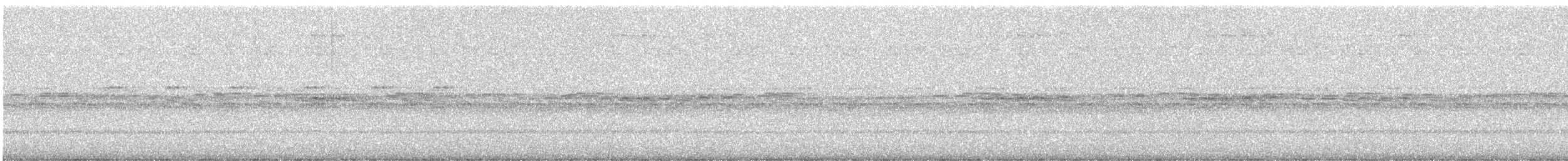 Büyük Kiskadi Tiranı - ML647691541