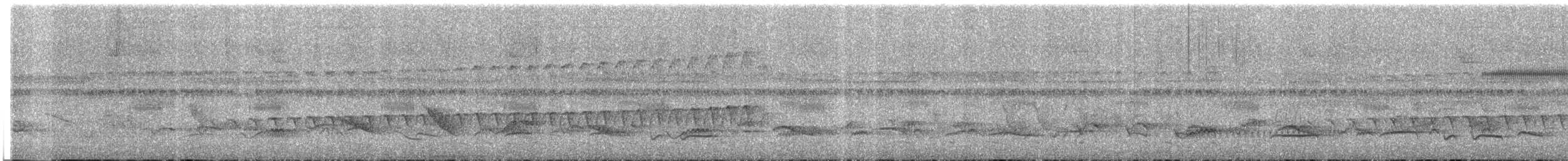 Rufous Gnateater - ML647692447