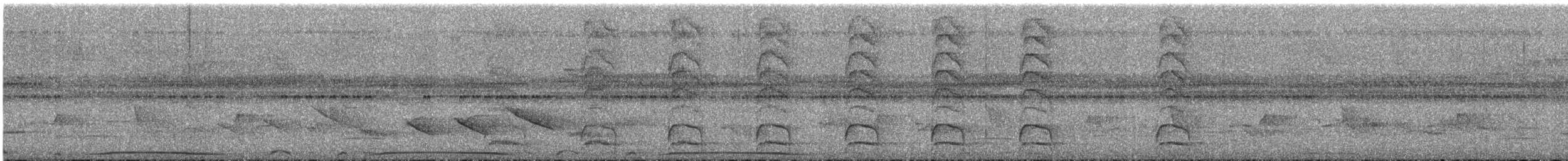 Черноусый дятел - ML647692460