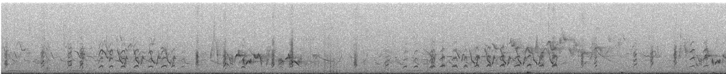 White-eyed Vireo - ML647692710