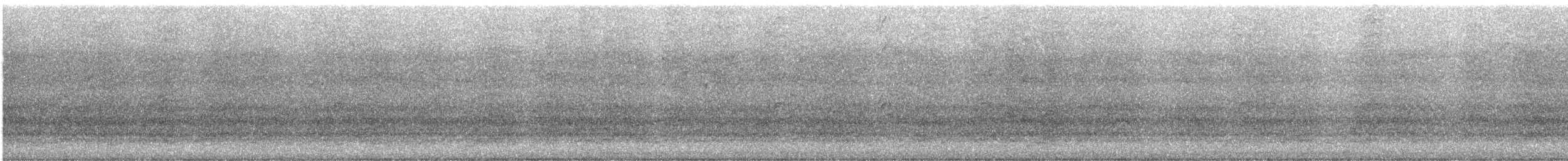 Tennessee Warbler - ML647693041