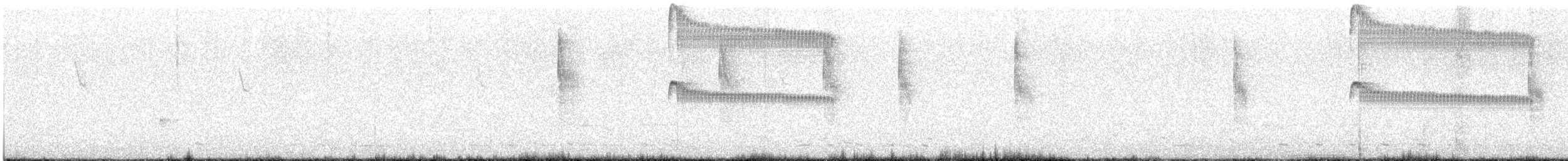 Plain Tyrannulet - ML647693290