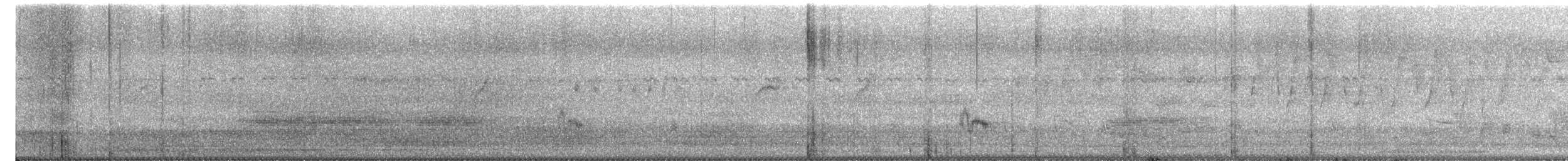 Spotted Dove - ML647693468