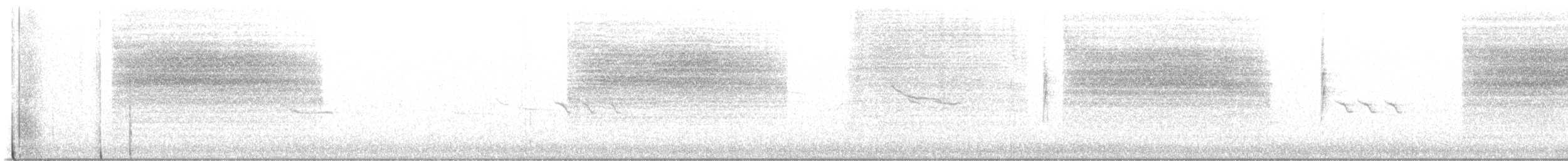 Black-tailed Gnatcatcher - ML647693509