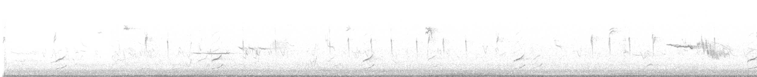 Phainopepla - ML647693515