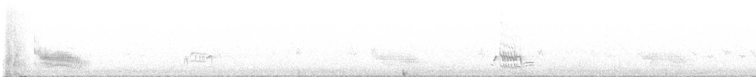 Phainopepla - ML647693516