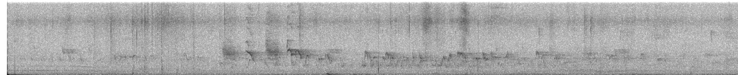 White-browed Bulbul - ML647693522