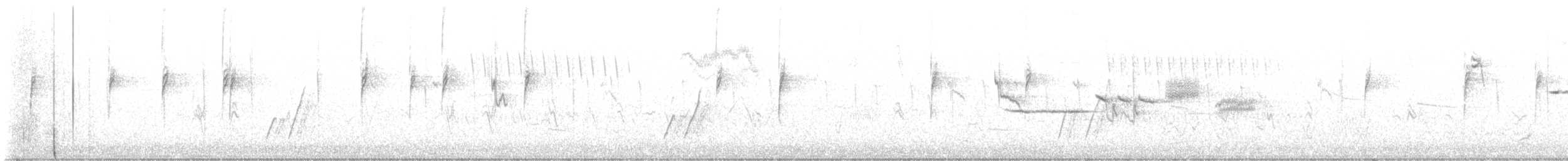 Curve-billed Thrasher - ML647693533