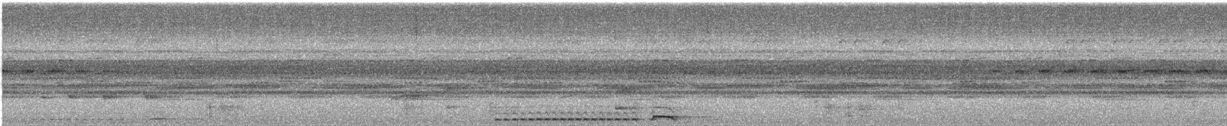 Tropical Screech-Owl - ML647693534