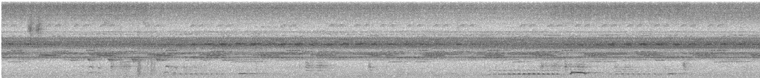 Tropical Screech-Owl - ML647693535