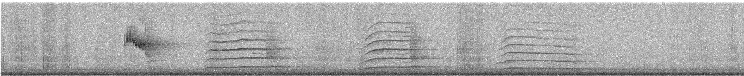 Northern Saw-whet Owl - ML647693557