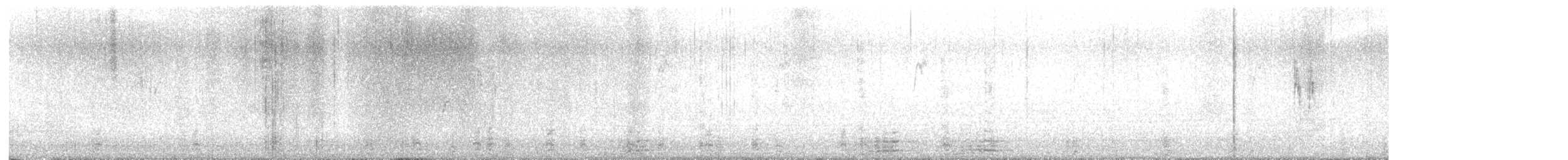 Brant (Pale-bellied) - ML647693582