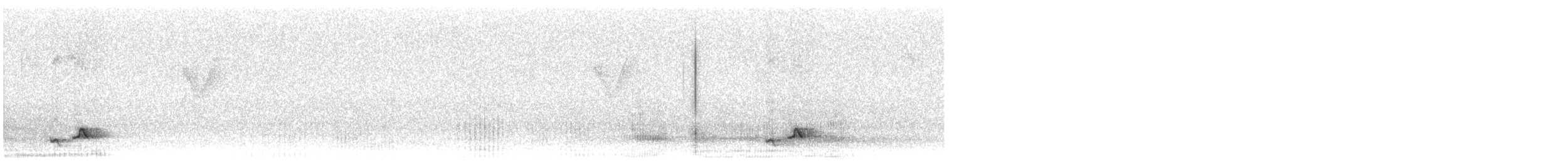 Spot-breasted Scimitar-Babbler - ML647693600