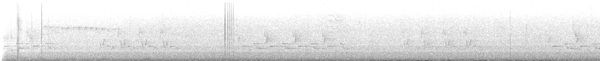 Carolina Wren - ML647693646